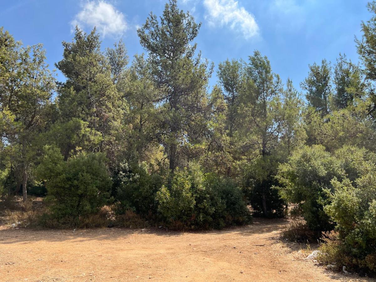 Oak Farm مزرعة الملّول Guest House ‘Ajlūn Bagian luar foto