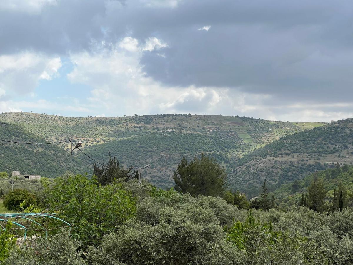 Oak Farm مزرعة الملّول Guest House ‘Ajlūn Bagian luar foto