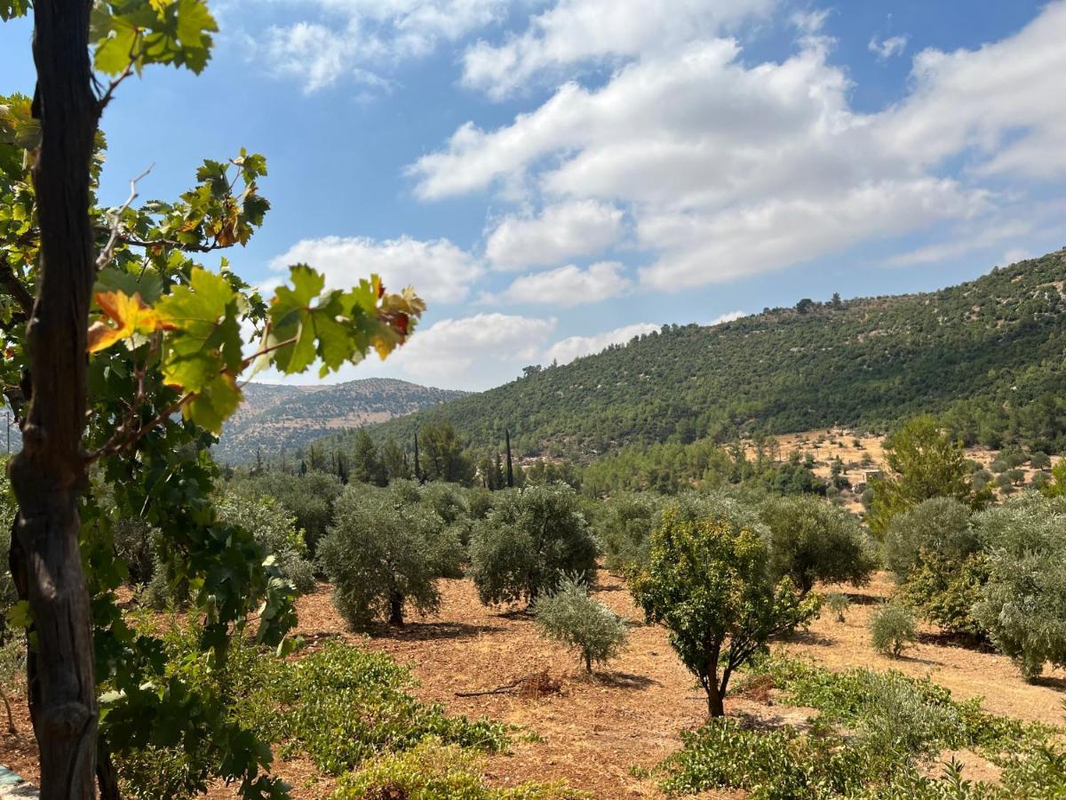 Oak Farm مزرعة الملّول Guest House ‘Ajlūn Bagian luar foto