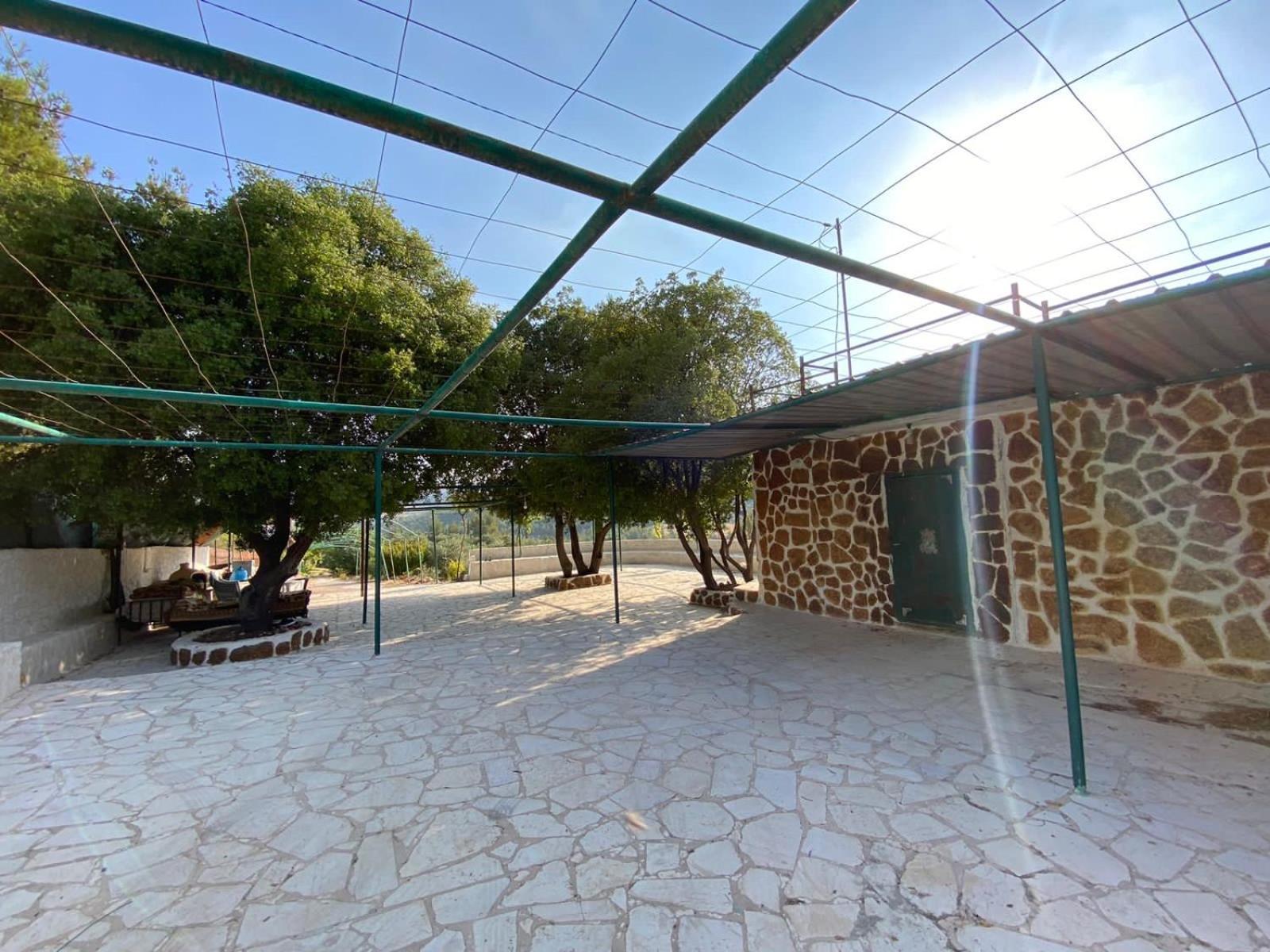 Oak Farm مزرعة الملّول Guest House ‘Ajlūn Bagian luar foto