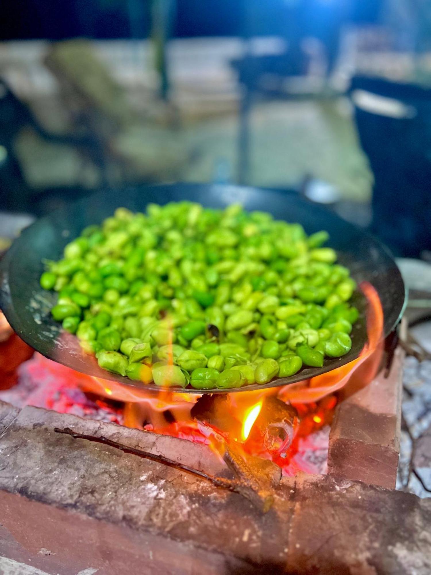 Oak Farm مزرعة الملّول Guest House ‘Ajlūn Bagian luar foto